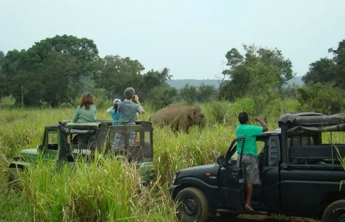 Serveis-viatges de mida – XL Viatges a Mida