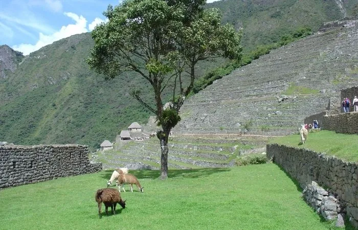 Serveis-viatges de mida – XL Viatges a Mida