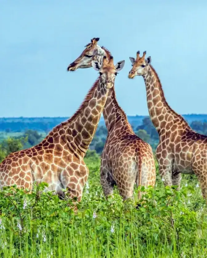 Viatge – Inedit Viatges