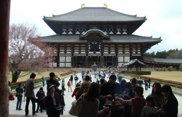 Serveis-viatges de mida – XL Viatges a Mida