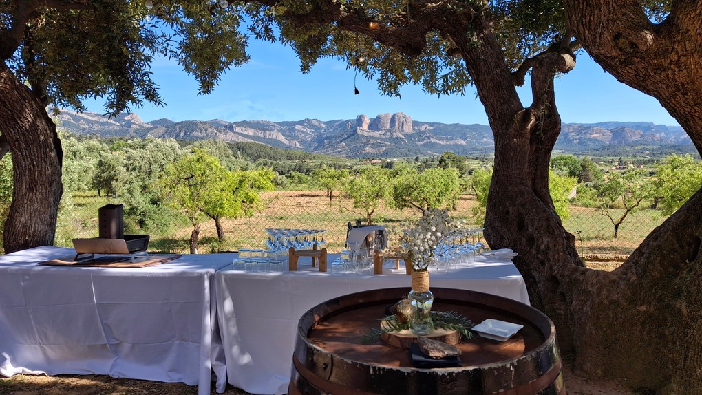 Els Olivers Banquets casaments