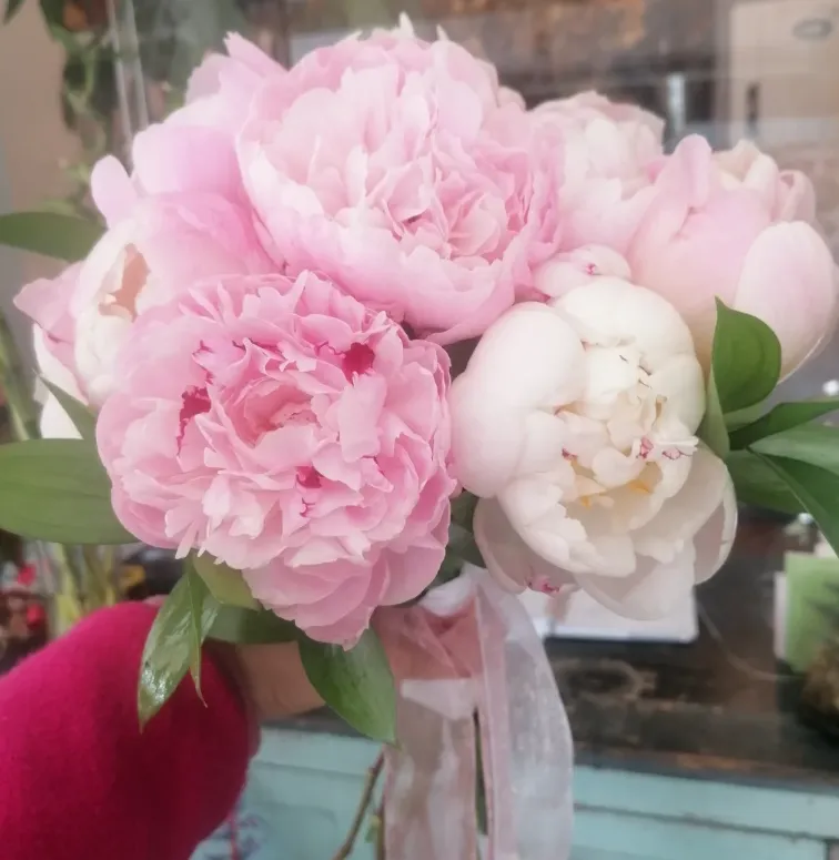 Flors i decoració – Blommor Floristes