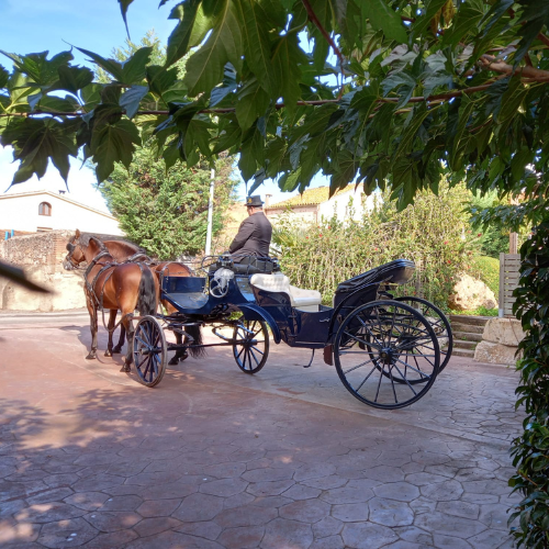 Hipica_Clapes_Cotxes i vehicles exclusius Hipica_Clapes_Cotxes i vehicles exclusius