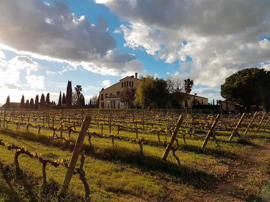 L’Orangerie de Clos Barenys