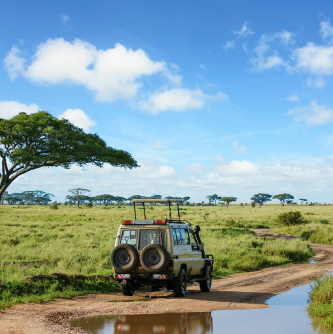 Flyaway, Uganda
