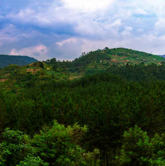 Flyaway, Uganda