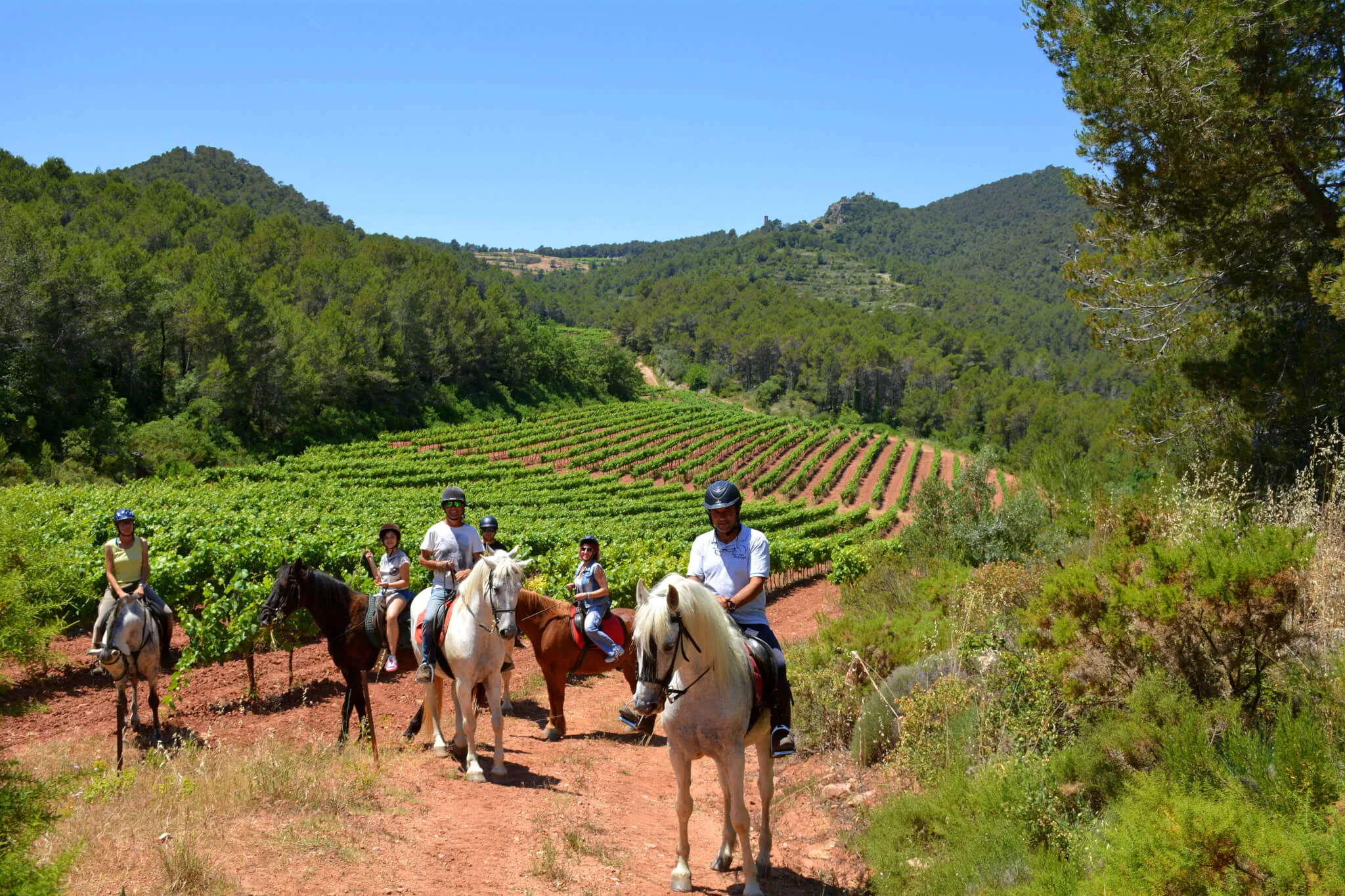 Banquet cellers i comiats – Penedès 500