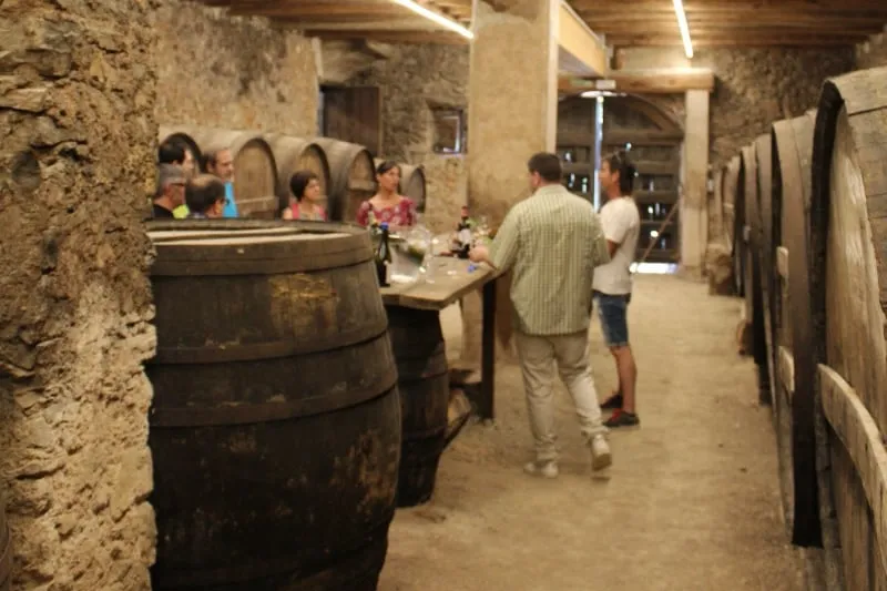 Banquet cellers i comiats – Penedès 500