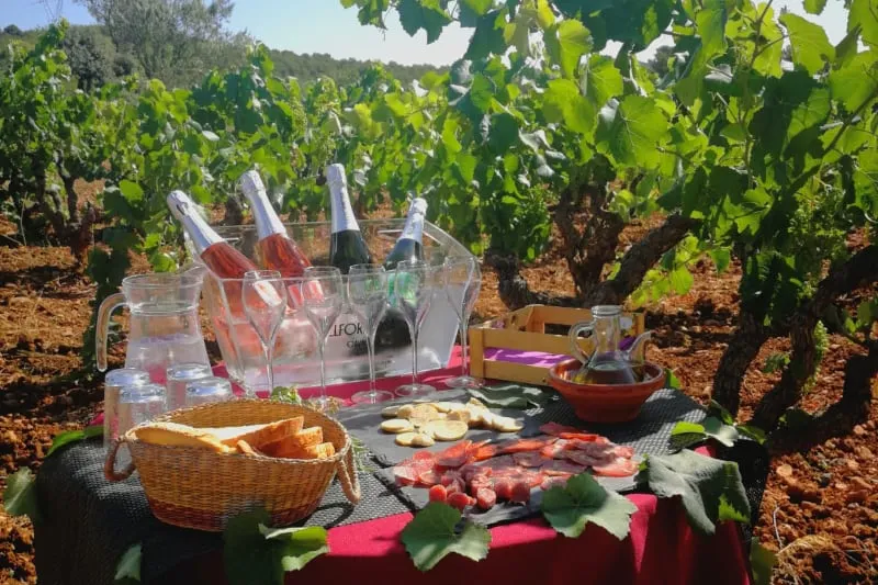 Banquet cellers i comiats – Penedès 500