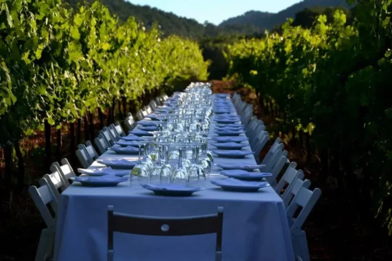 Penedès 500 - enoturisme