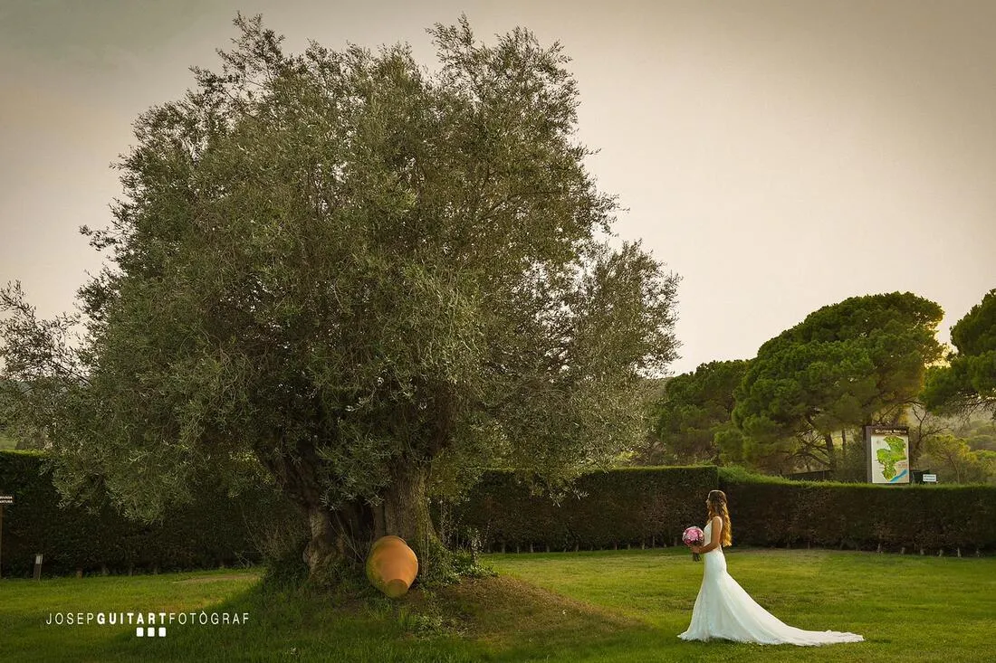 Banquet-hotels Hotel Mas Tapiolas