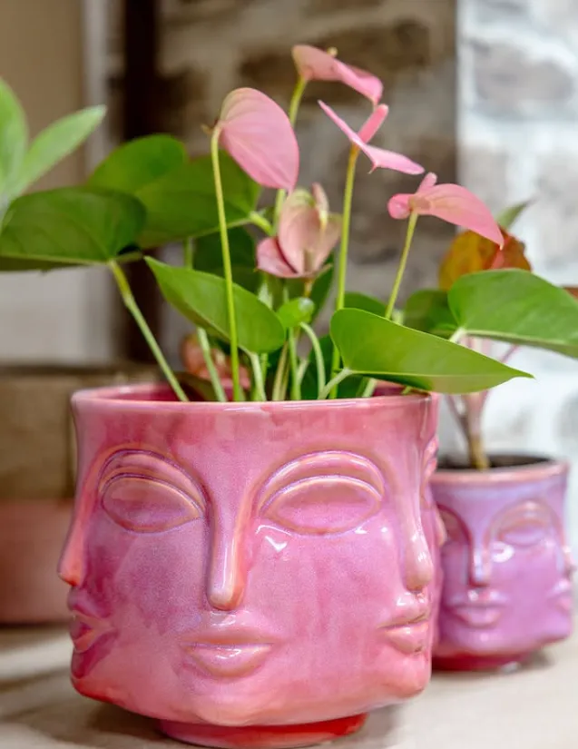Flors i decoració – Flors L'Amic