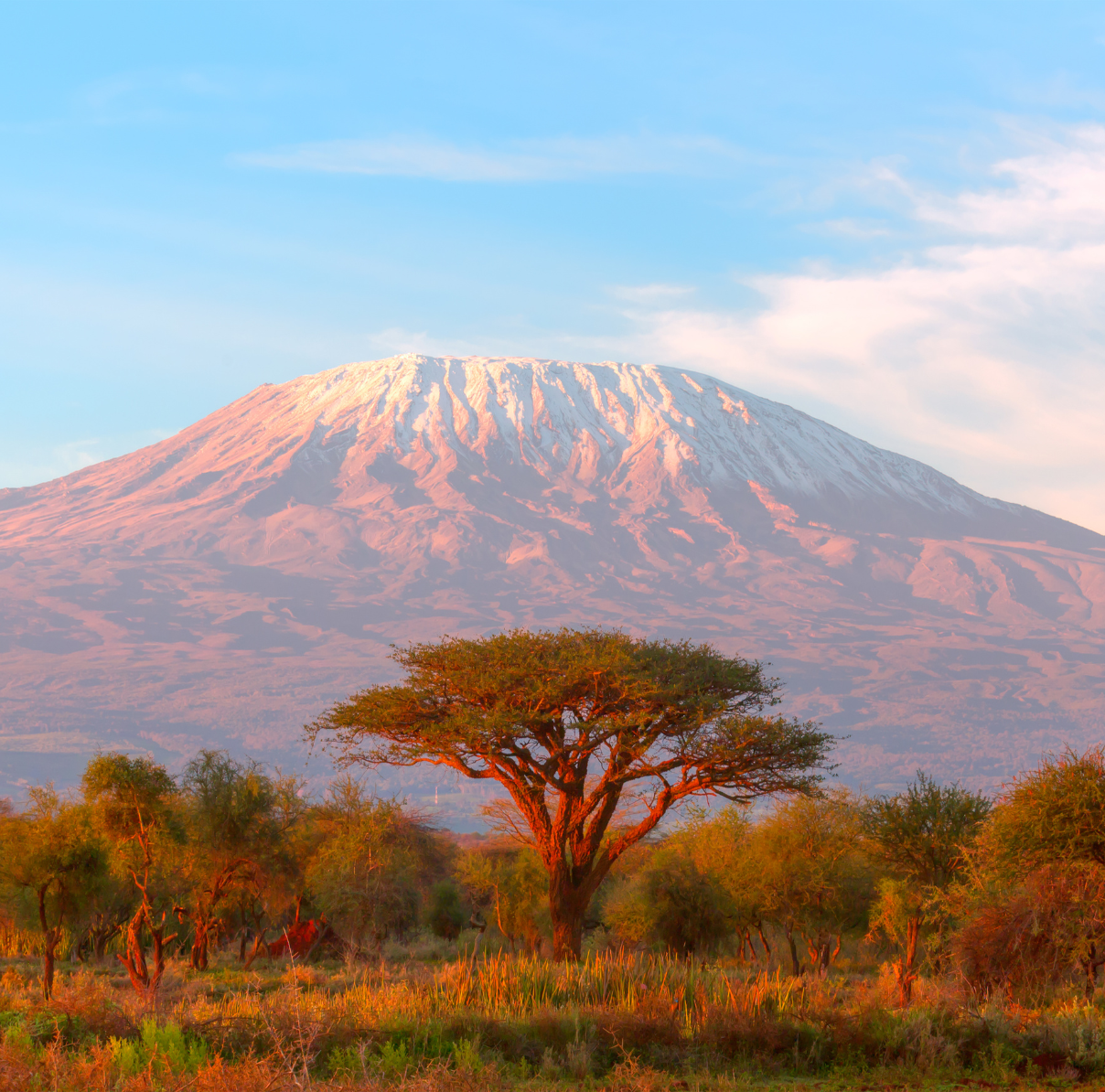 Vista del mont Kilimanjaro a Tanzània