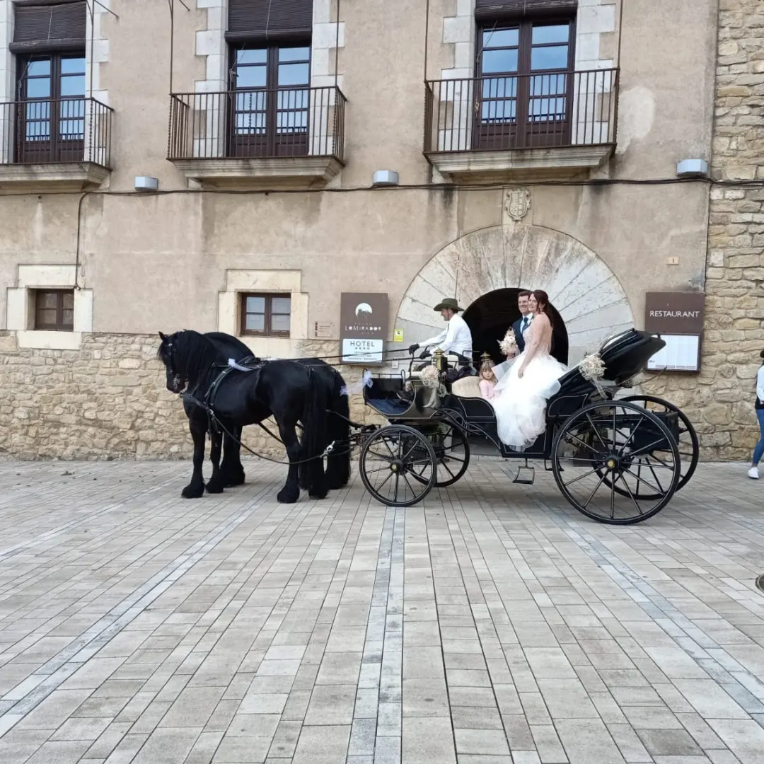 Serveis Lloguer de Cotxes – Carruatges Mas Pagès