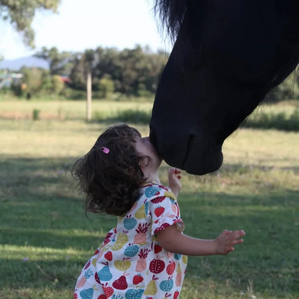 Serveis Lloguer de Cotxes – Carruatges Mas Pagès