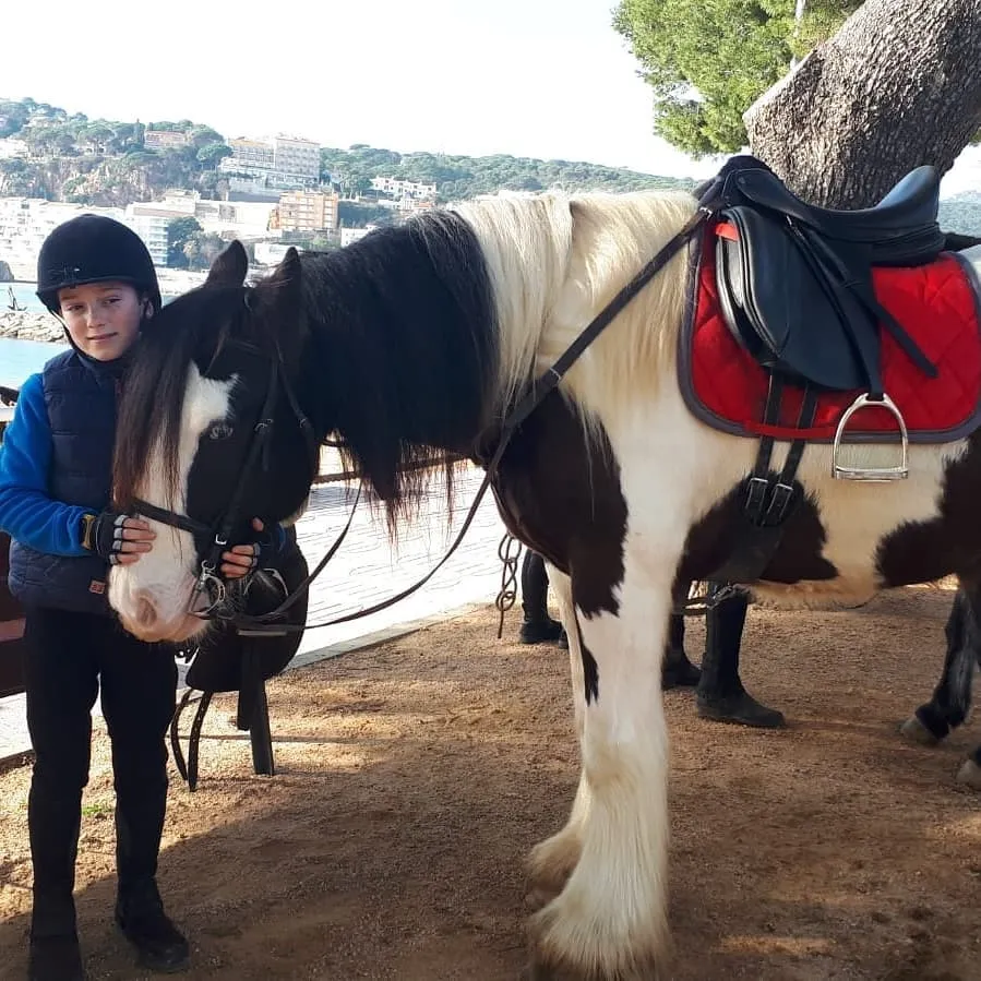 Serveis Lloguer de Cotxes – Carruatges Mas Pagès