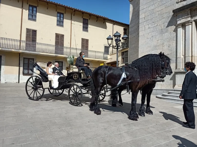 Serveis Lloguer de Cotxes – Carruatges Mas Pagès